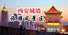 操外国毛多女人逼中国陕西-西安城墙旅游风景区